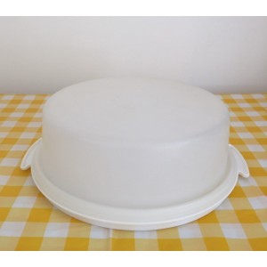 Boite Rectangulaire A Cake Gateau Tupperware Vintage De Coloris Blanc